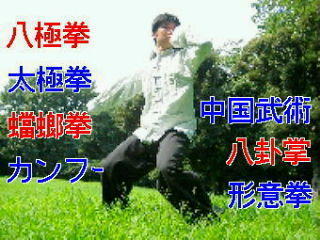 八極拳にいろいろ混ぜてみました わかるかな？ #八極拳 #中国